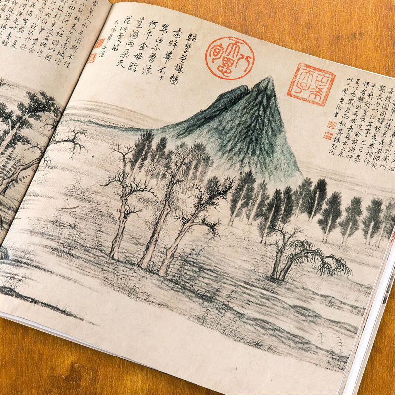 Qi Baishi 자유 손화 그림책 마스터 중국어 그림 - Chinese Calligraphy Practice Book 리뷰 및 가격